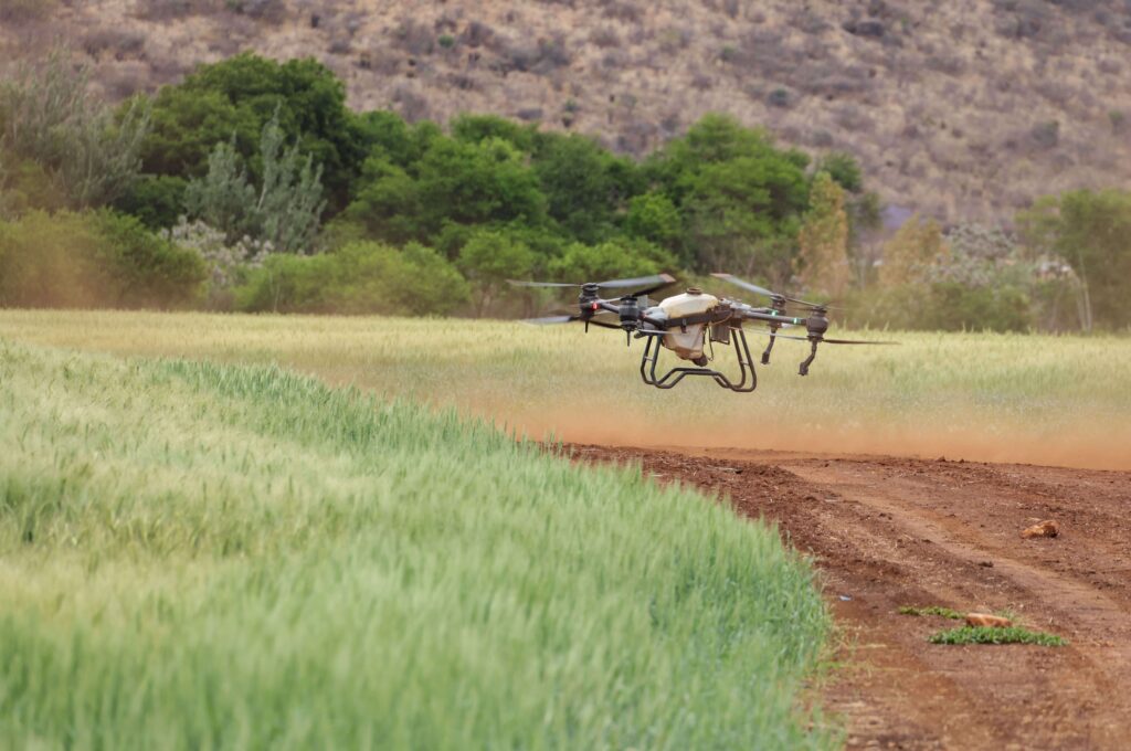 Los drones agrícolas pasaron de 50.000 a más de 2 millones de hectáreas en menos de dos años. Te explicamos qué está pasando, qué ventajas tienen y si convienen para el productor chico y mediano.