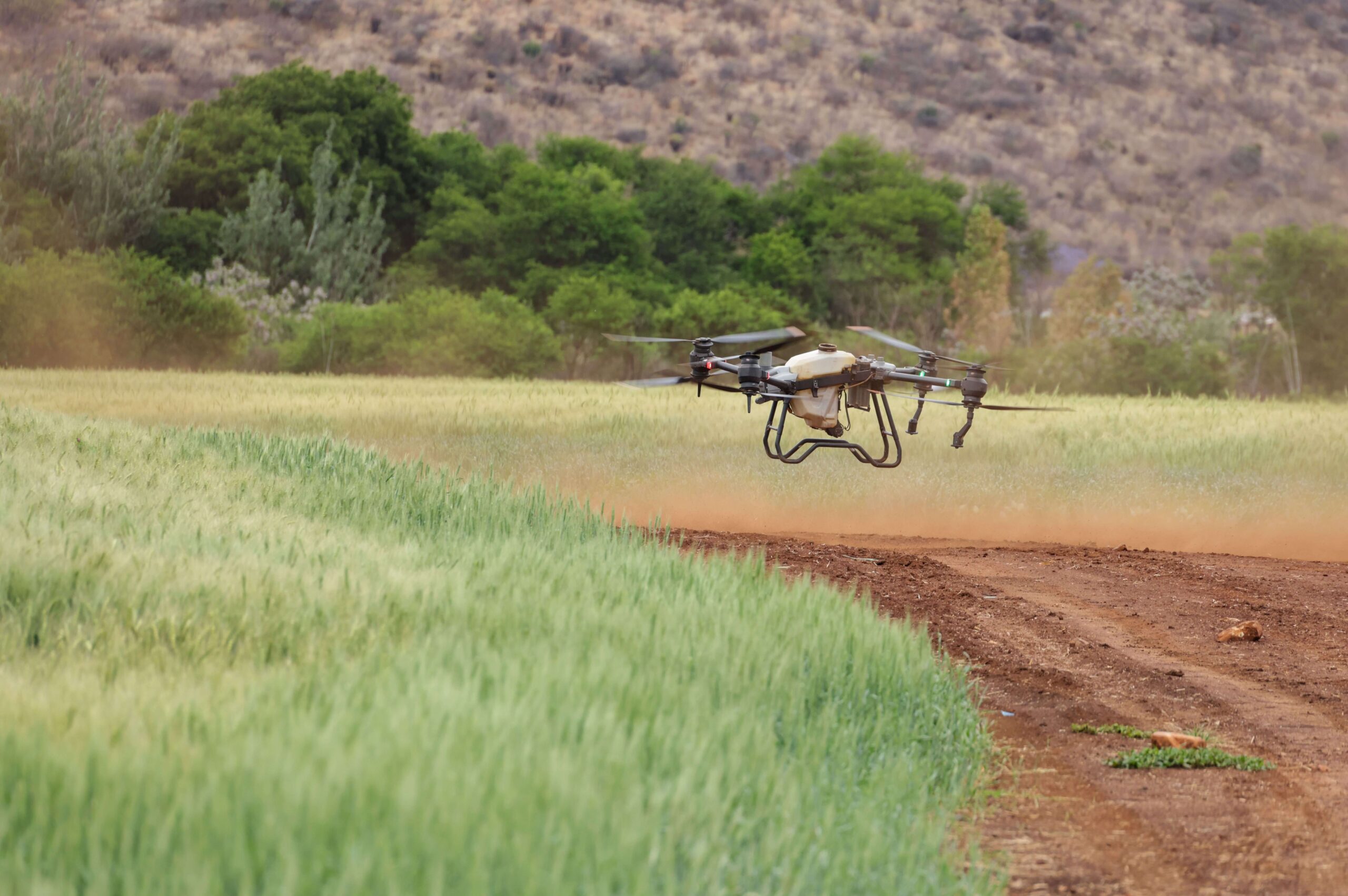 Los drones agrícolas pasaron de 50.000 a más de 2 millones de hectáreas en menos de dos años. Te explicamos qué está pasando, qué ventajas tienen y si convienen para el productor chico y mediano.