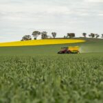fertilizacion urea