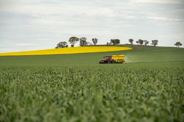 fertilizacion urea