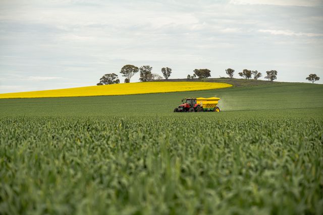 fertilizacion urea