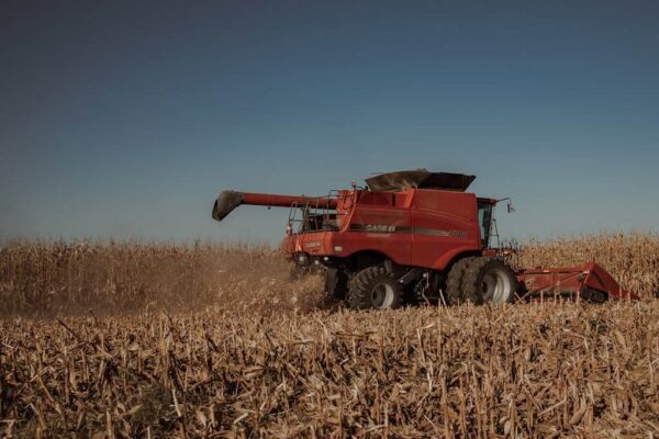 "Cosechadora Case IH 7088 trabajando en campo de maíz durante la cosecha gruesa 2026 en Córdoba".